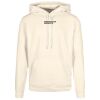 Basic hoodie Thumbnail
